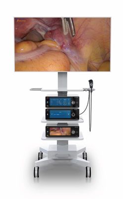 Hoạt động nội soi Camera nội soi 4k y tế với màn hình cảm ứng 10,2 inch