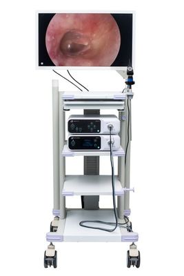 Màn hình hiển thị phẫu thuật cho Camera nội soi Màn hình nội soi y tế 27 inch