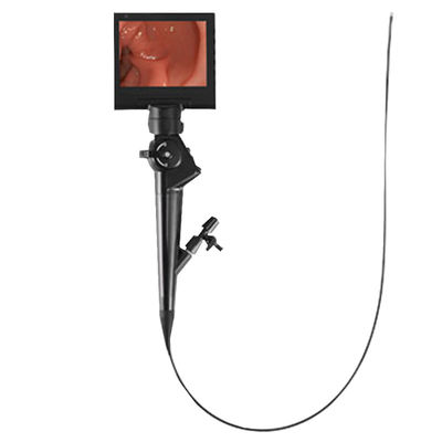 Máy nội soi phế quản video cầm tay cầm tay 6mm